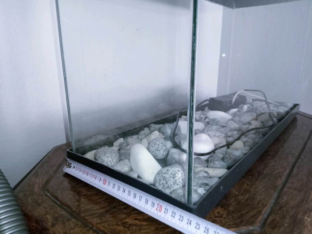 akvaryum - 4