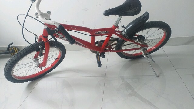 20 jant bisiklet