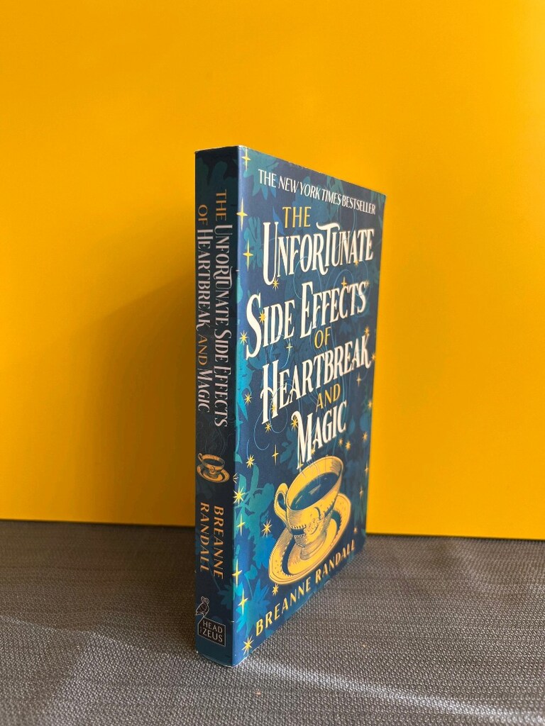 Kalp Kırıklığı ve Buyu Fantastik Romantik Roman İngilizce Kitap - 2
