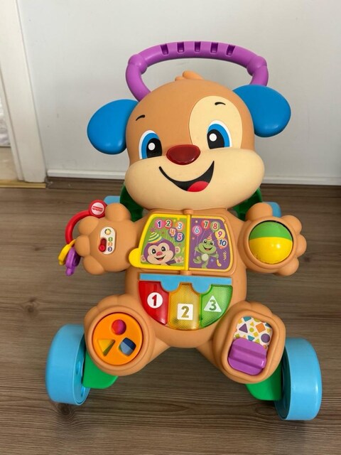 Fisher Price Yürüme Arkadaşı