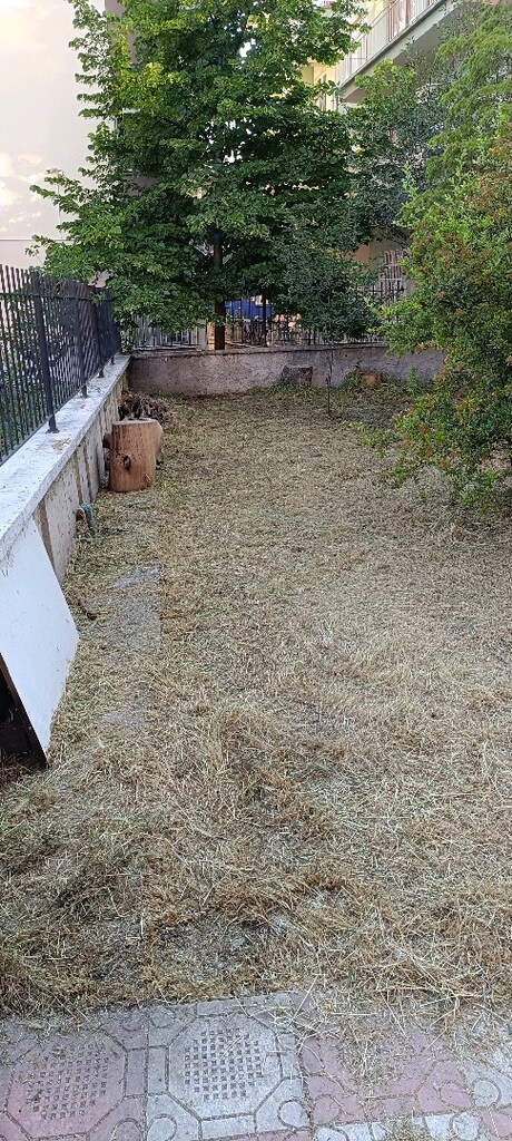 bahçe biçimi yapılır - 3
