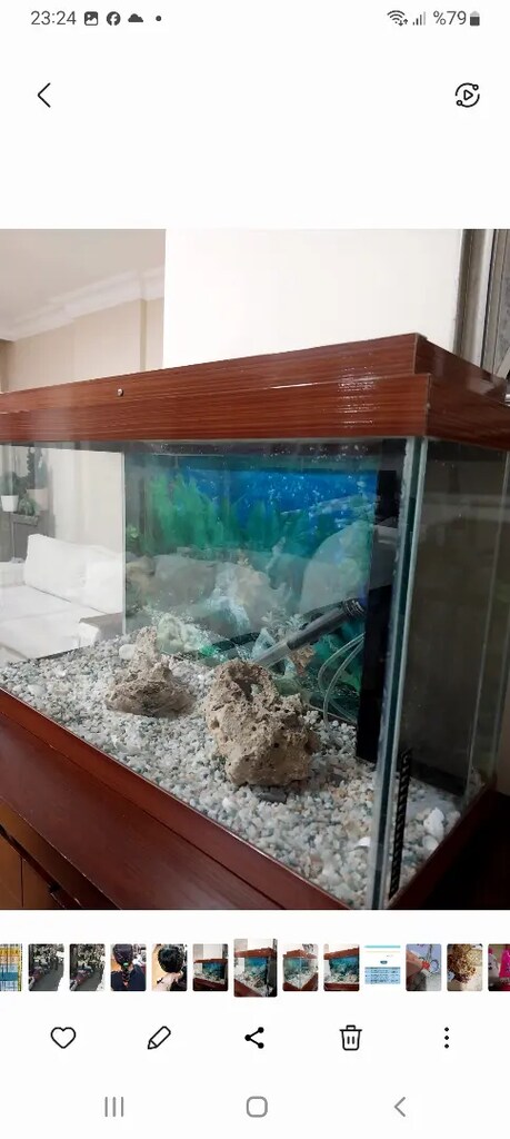 Özel yapım akvaryum - 3