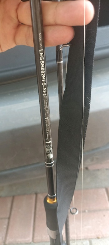 Daiwa karbon legalis seabass - 3