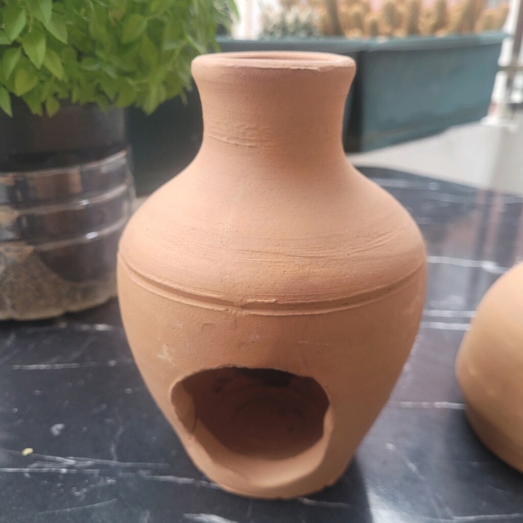 Akvaryum testi yavruluk - 2