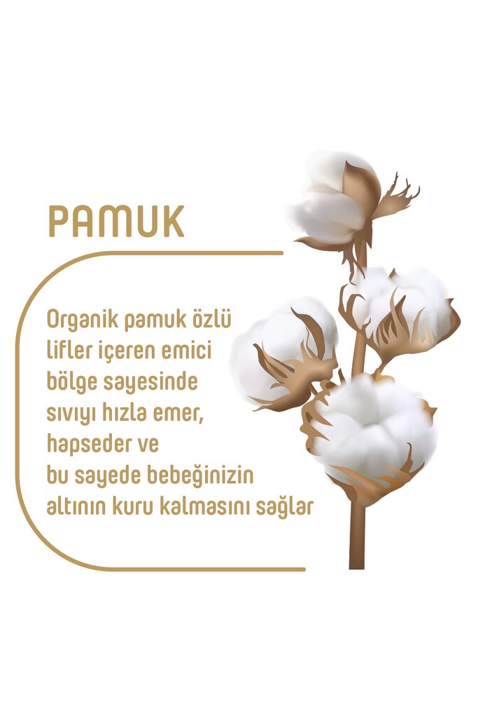 Pure Baby Organik Pamuklu 2 Numara Bebek Bezi - 5