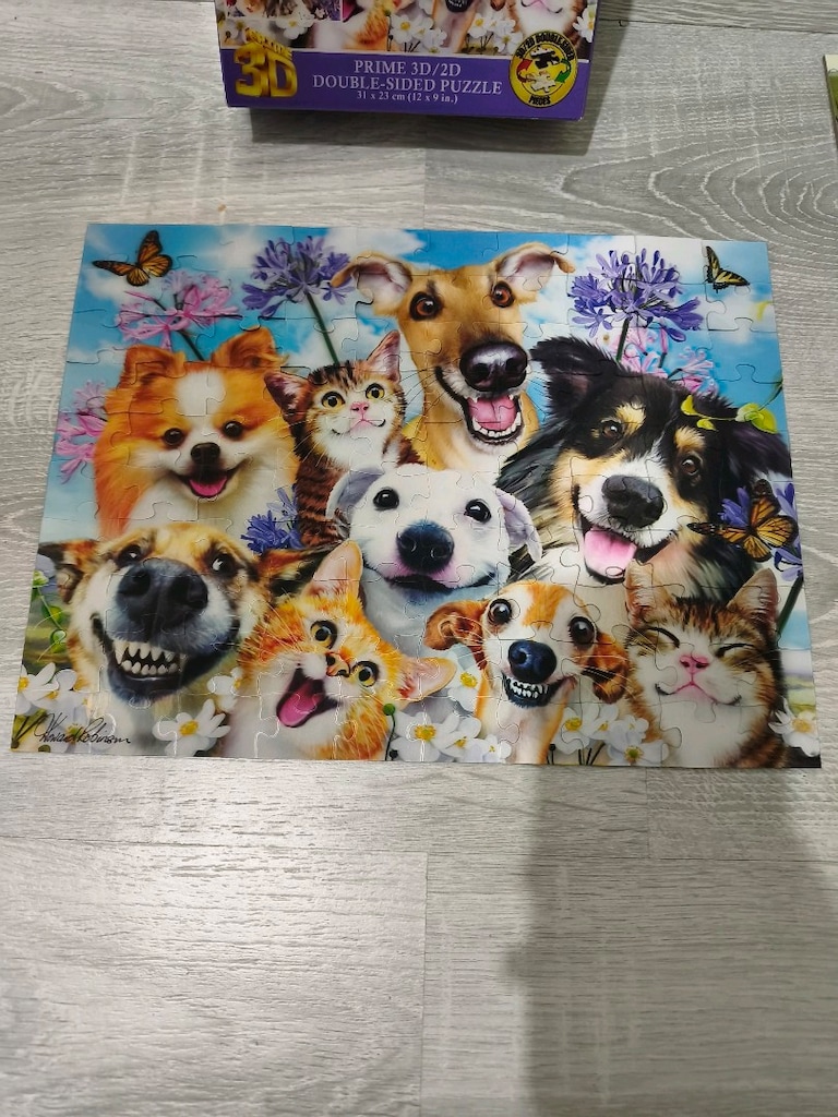 çift taraflı 3D puzzle - 3