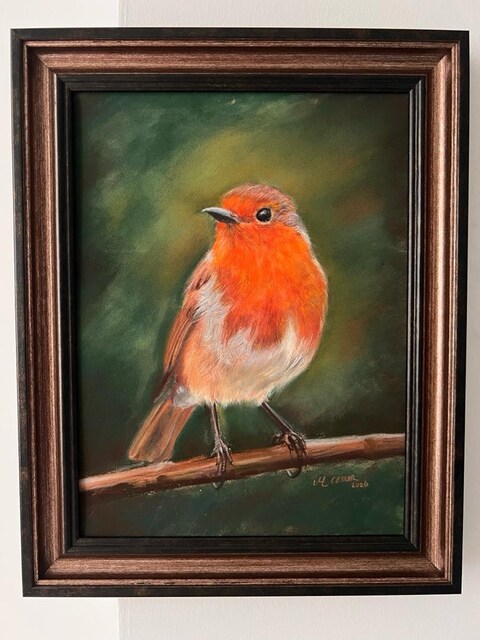 Orijinal Soft Pastel Kızılgerdan (Robin) Kuşu Tablosu 18x24 cm El Yapı
