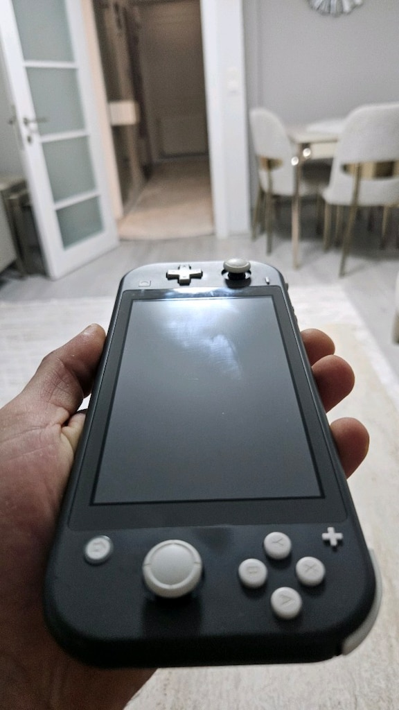 temiz çipli switch lite - 2