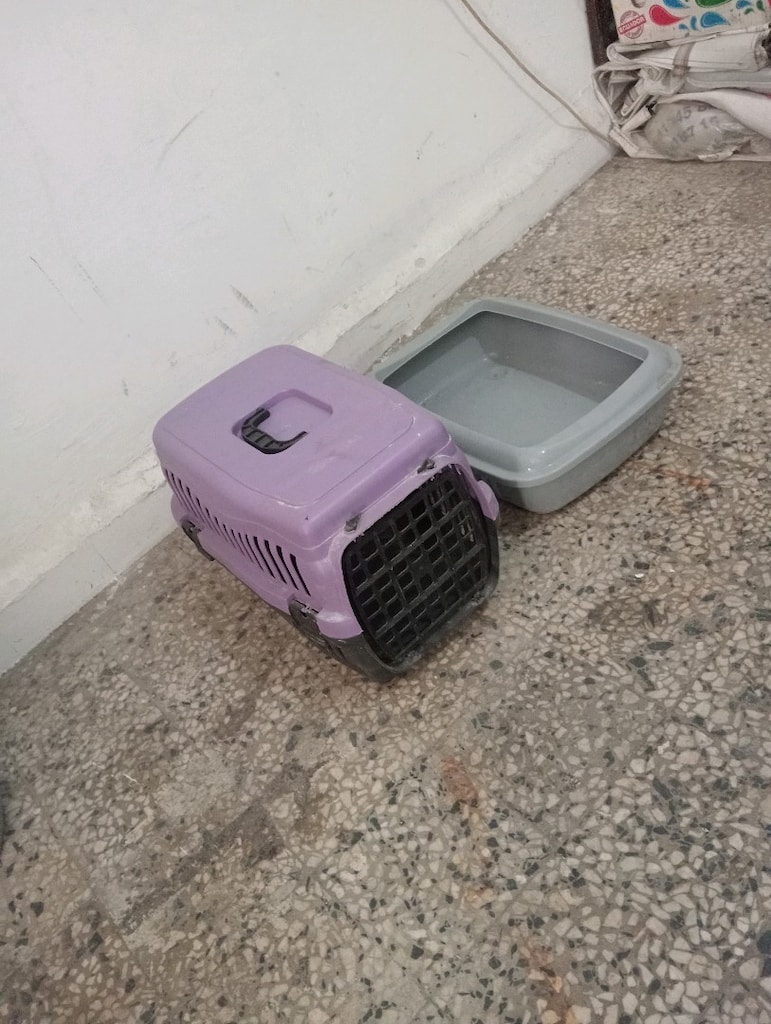 kedi taşıma çantası ve tuvaleti - 2