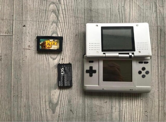 Nintendo Ds batarya, oyun