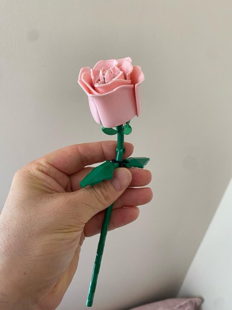 lwgo pembe gül - 2