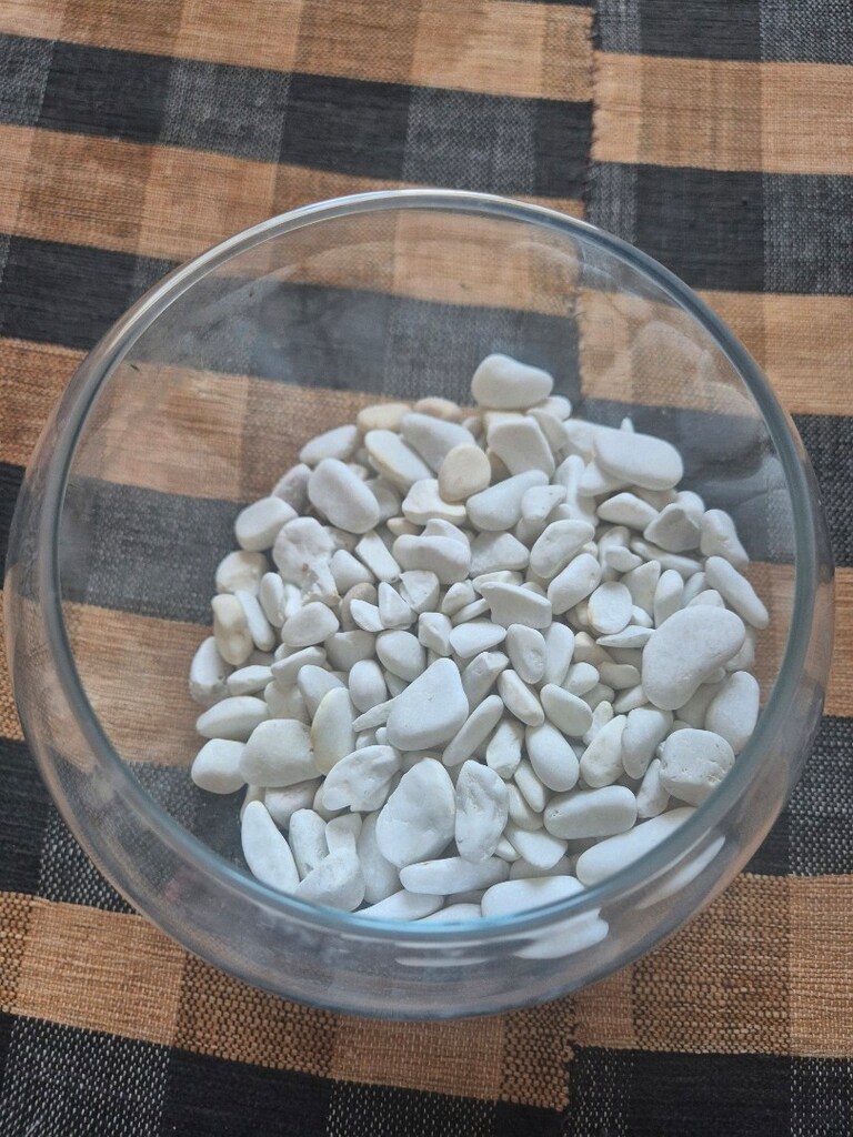 akvaryum - 2