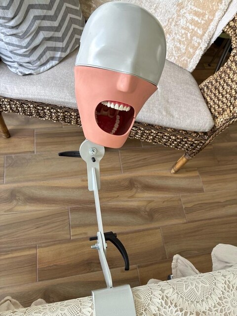 Preklinik Fantom kafa diş hekimliği