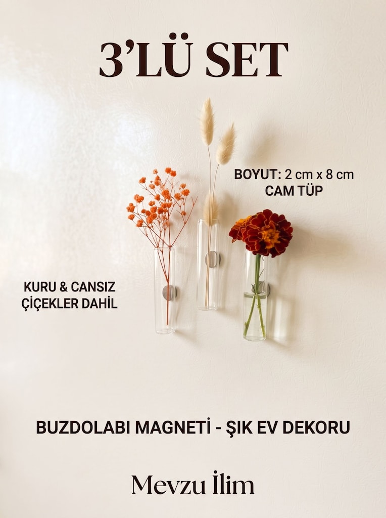 3’lü Magnetli Cam Tüp Vazo Seti – Kuru Çiçekli / Buzdolabı Dekoru - 2