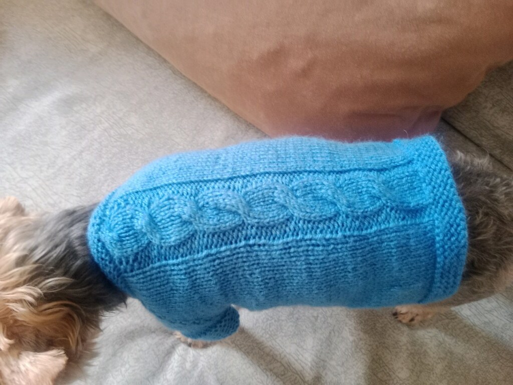 Köpek giyisisi S beden - 7