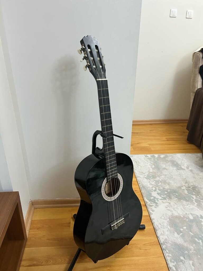 tertemiz klasik gitar - 4