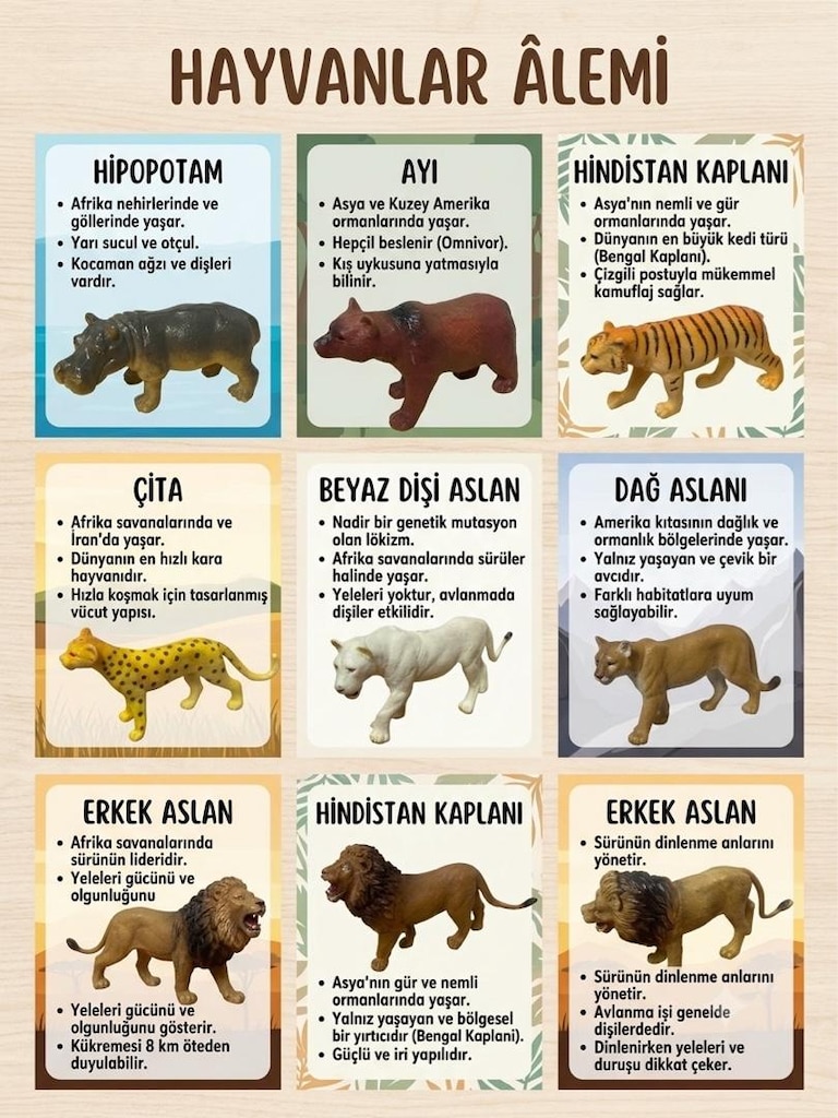 Koleksiyonluk 9 Parça Vahşi Hayvan Figür Seti