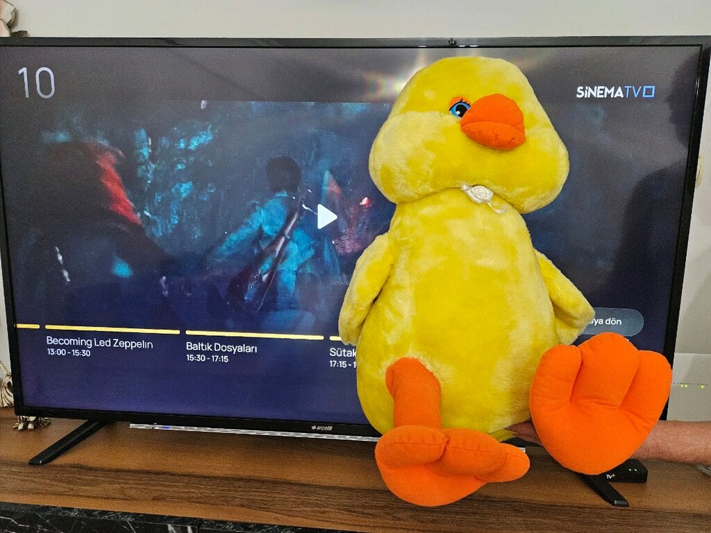 peluş civciv tv 140 ekrandir ölcü icin fot cekilmistir - 3