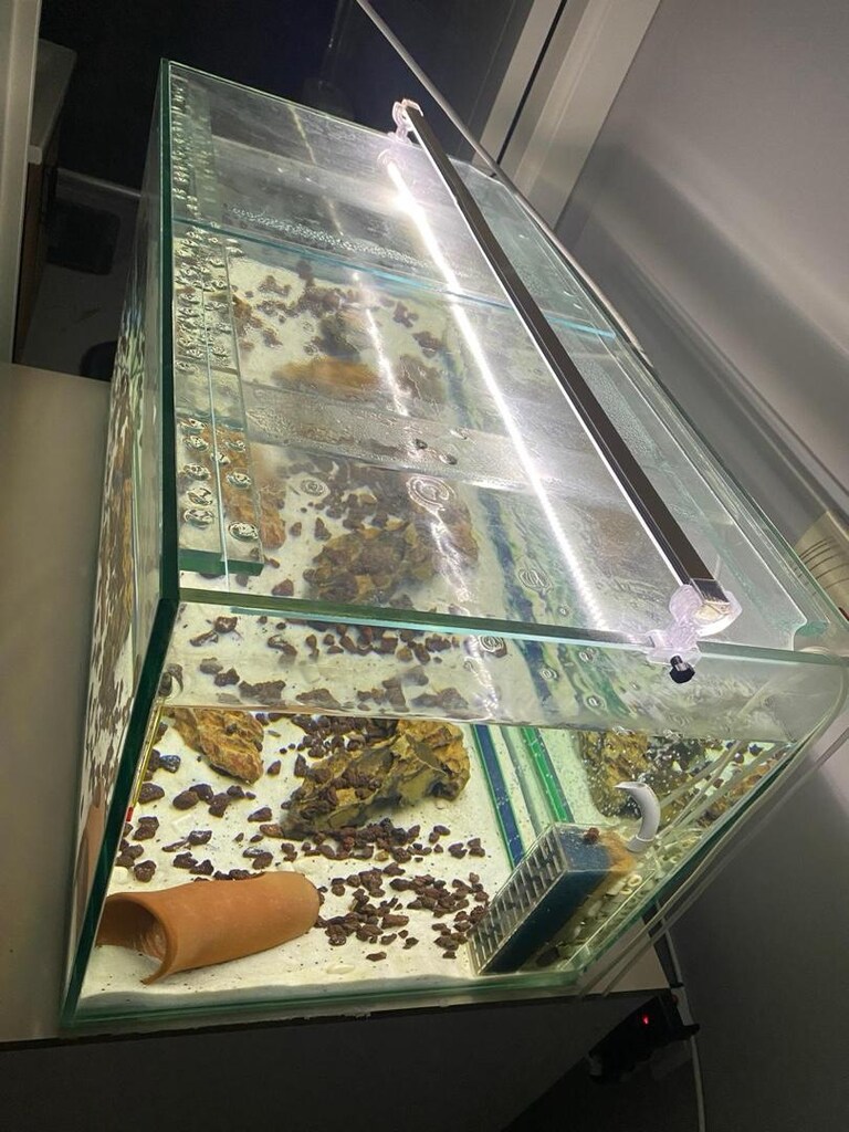 TEMİZ AKVARYUM - 5