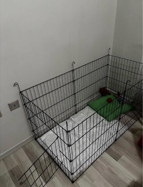 köpek çiti