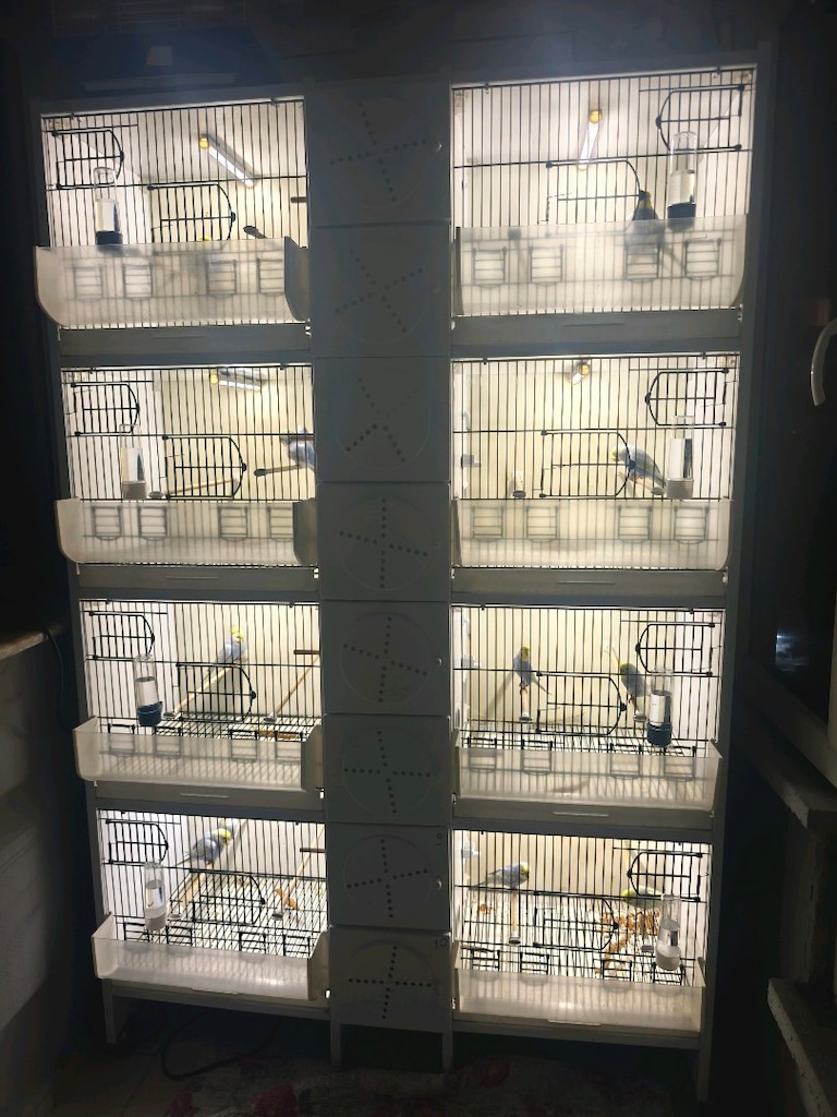 pvc kafes 8 gözlü