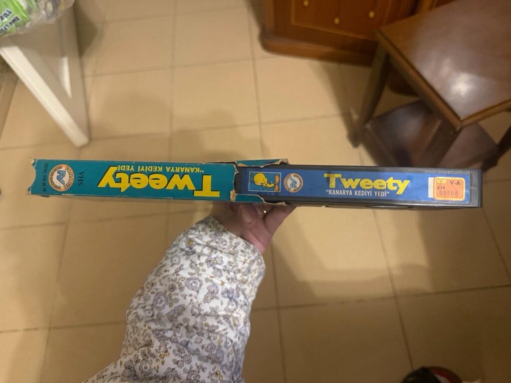 kaset ve kumandalar - 2