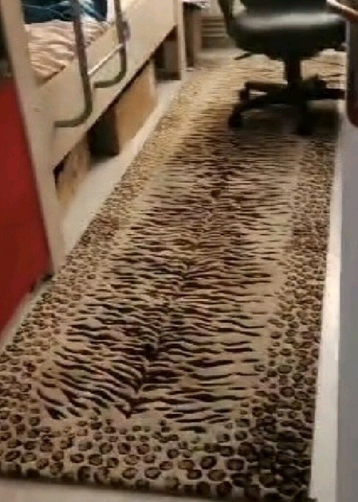 Halı saray vizyon serisi zebra desen 6m2 ve 2 adet3m2yolluk var - 4