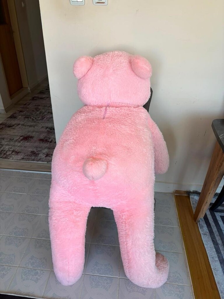 160 cm dev peluş ayı - 3