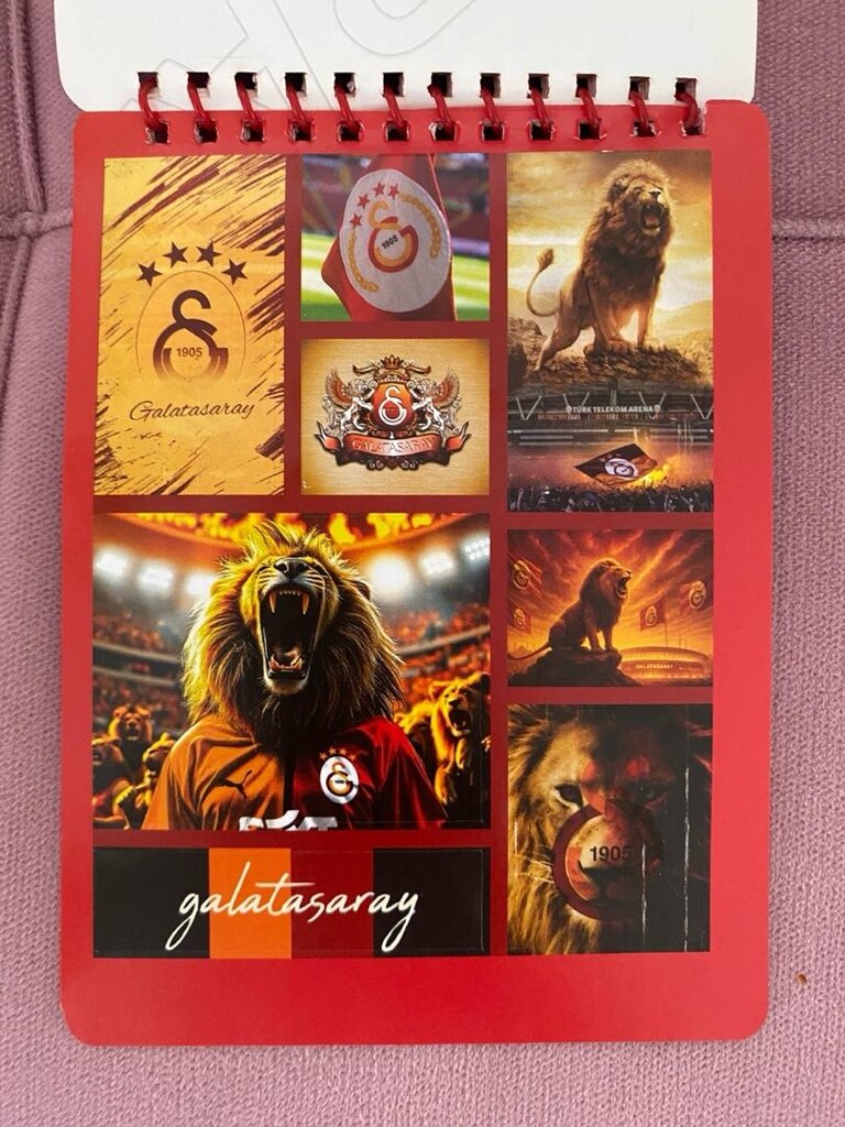 GALATASARAY STICKER BOOK - 12