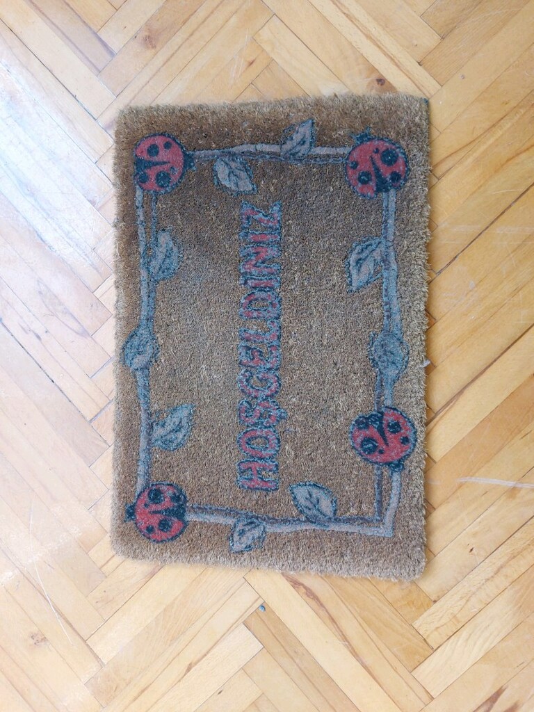 Uğur Böcekli paspas - 2