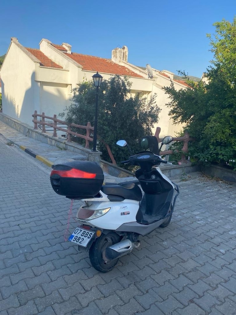 ister TEK TEK İSTER KONPLE SATILIK - 18
