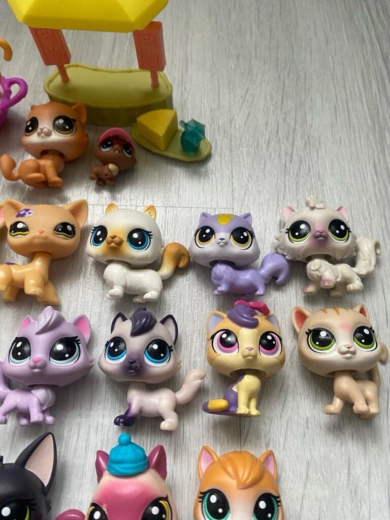 kedi minişler - 4
