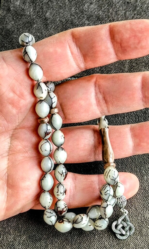 Kıbrıs Hurma Çekirdeği - 3