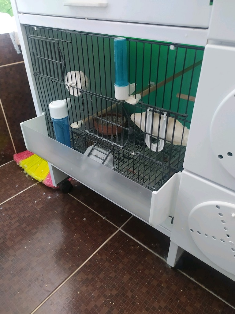 4 Katlı 8 Çift Kapasiteli PVC Kuş Kafesi – Kendinden Yuvalıklı - 5