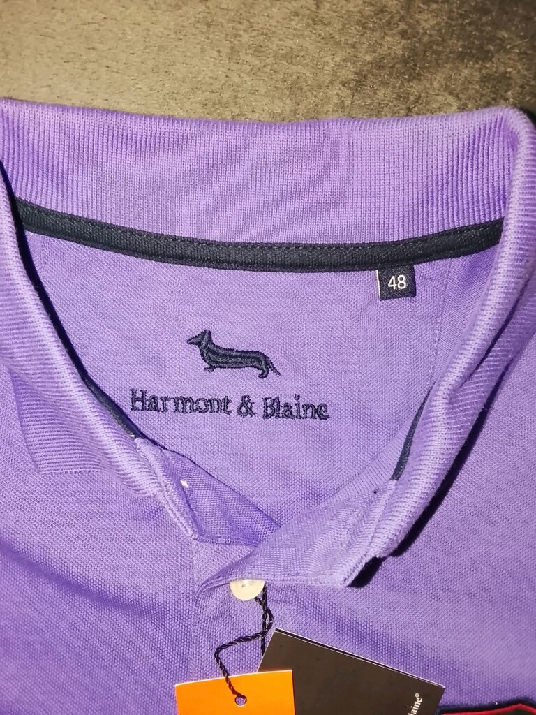 Harmont & Blaine Polo Yaka T-shirt. — görsel 6/12