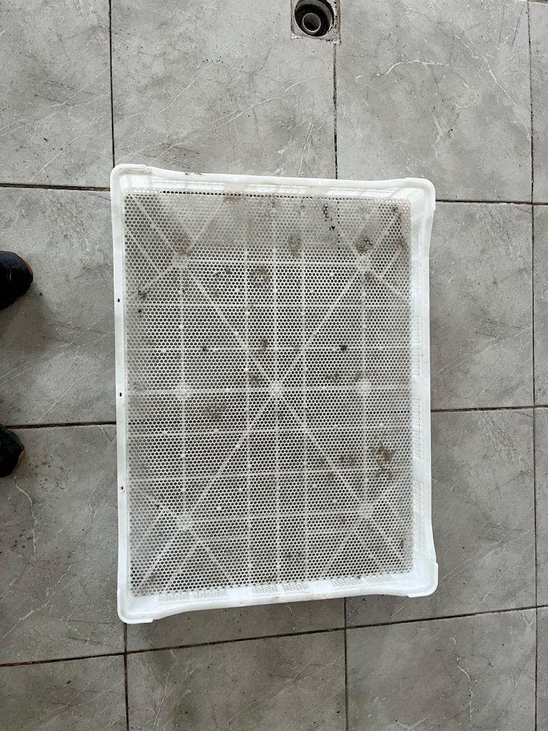 Beyaz Plastik 1. Sinif Meyve Sebze Kurutma Kasasi 80x60x12 cm - 3