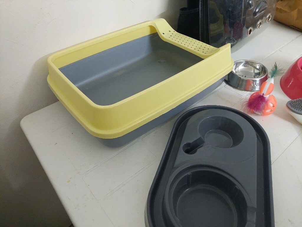 Kedi sırt çantası. Kedi tuvaleti,kedi tarağı. Kedi tablo.Kedi oyuncağı - 8