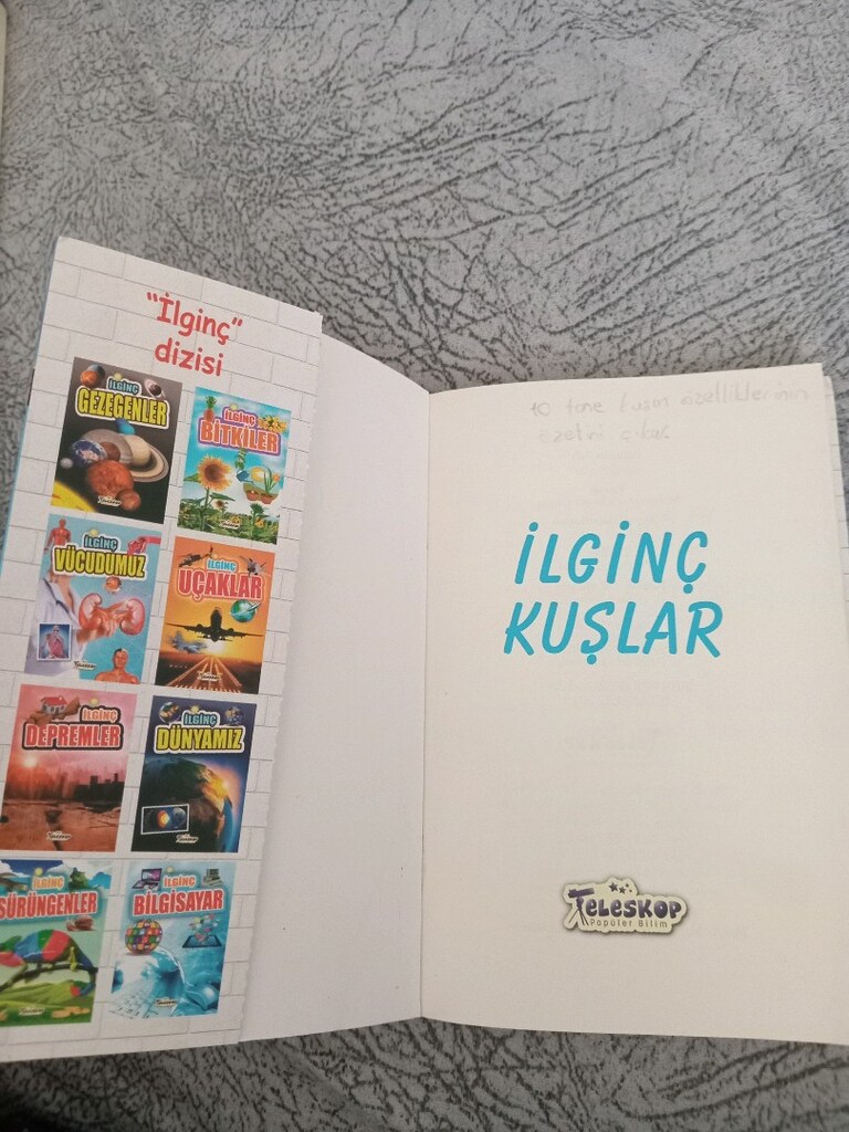 ilginç kuşlar - 3