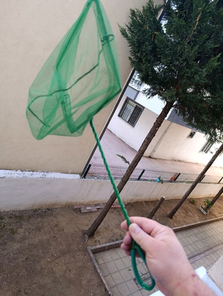 akvaryum balık yakalama filesi - 2