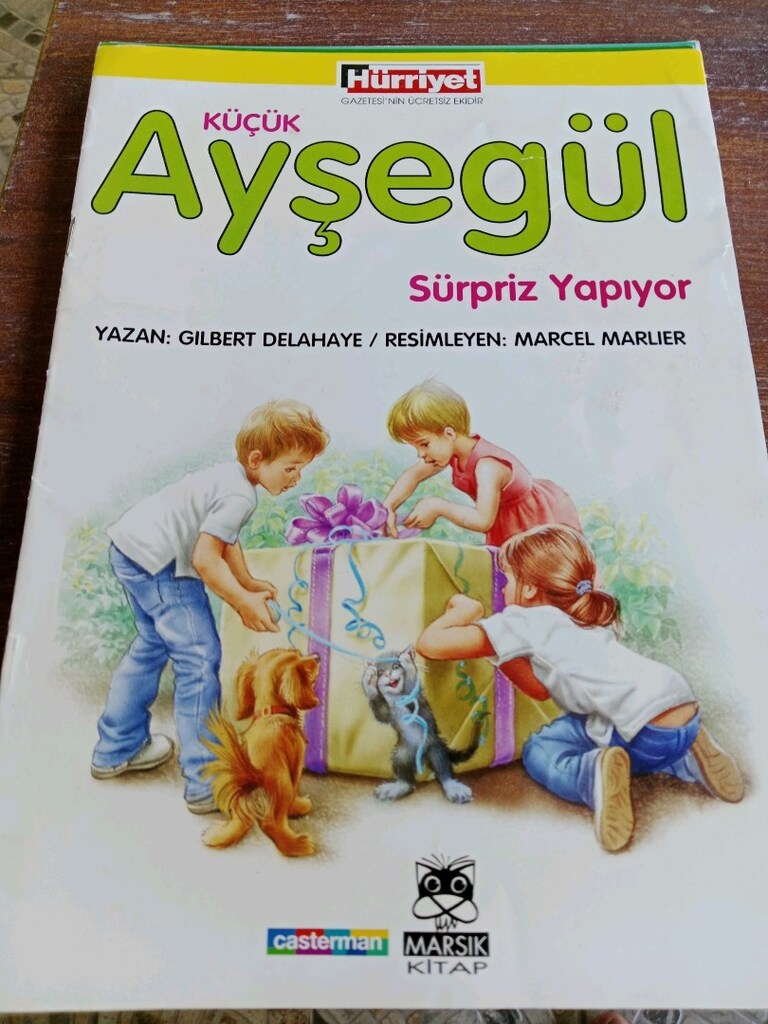 Ayşegül kitapları - 6