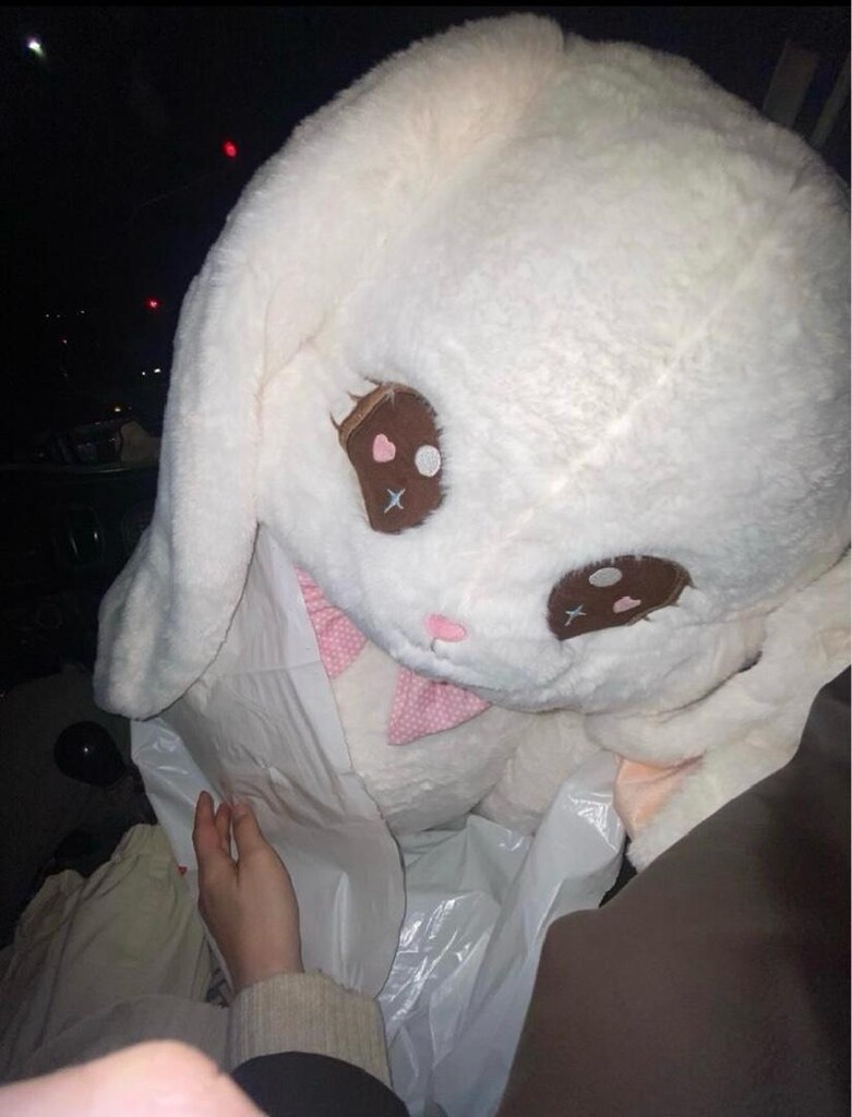 peluş tavşan - 2