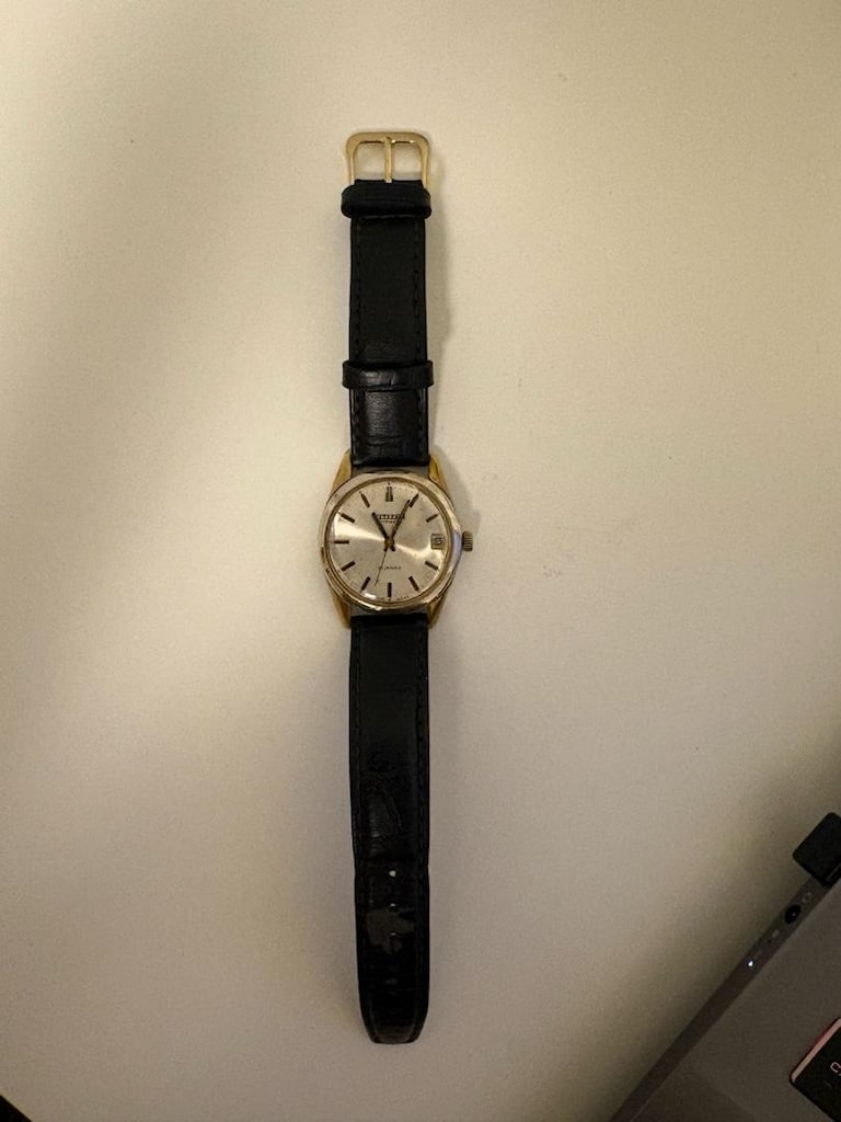 Citizen Vintage Saat - 2