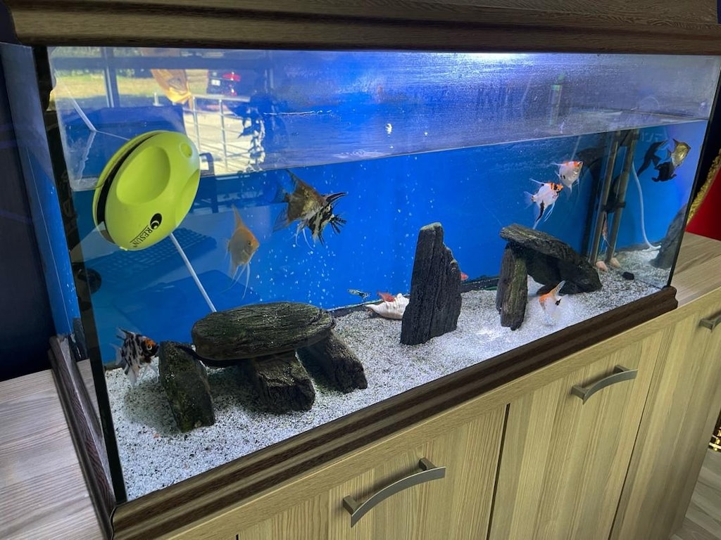 1 metre akvaryum
