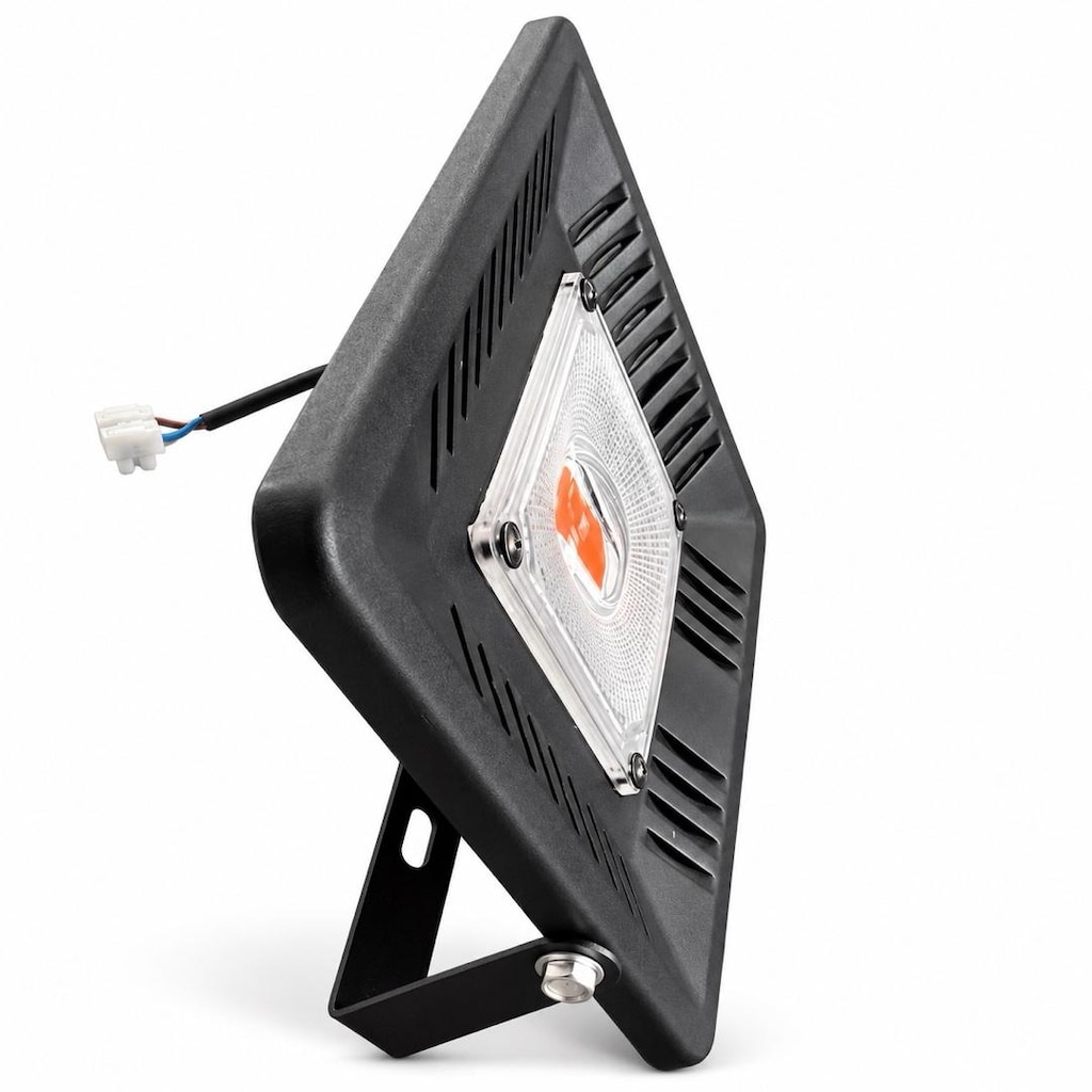 50W full spectrum bitki yetiştirme lambası - 4