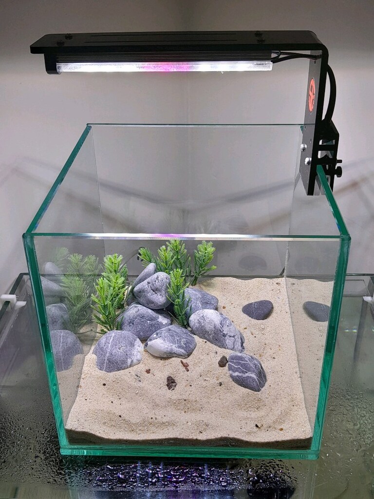 nano akvaryum mini 20x20x20 clear - 16