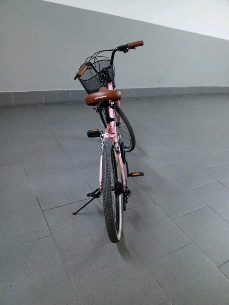 tertemiz pembe bisiklet - 3