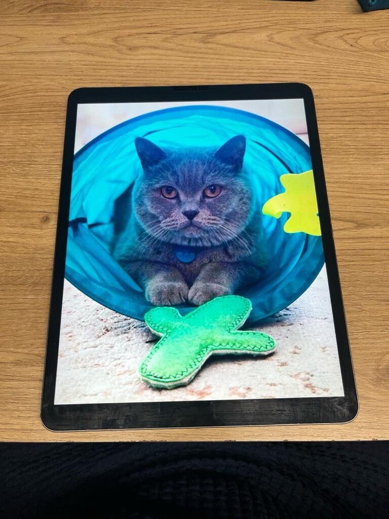 ipad 12.9 3. nesil 64 gb - 3