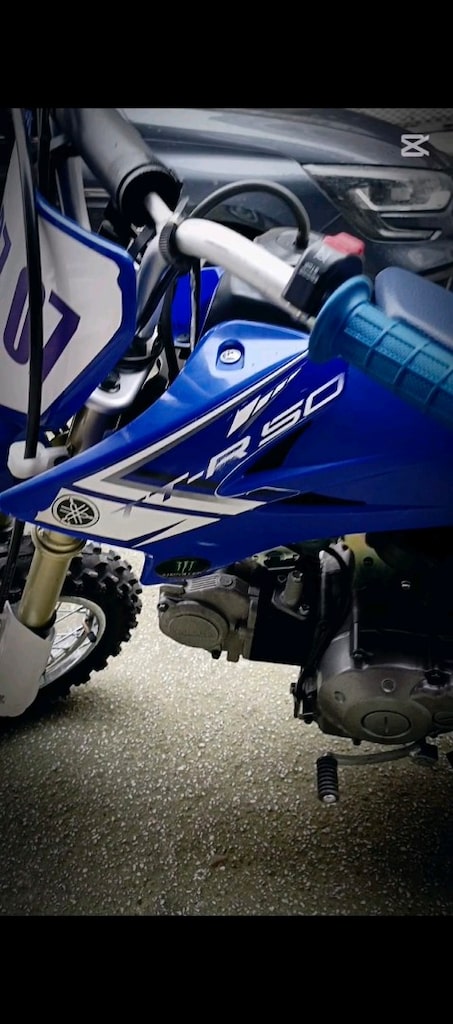 Yamaha ttr 50