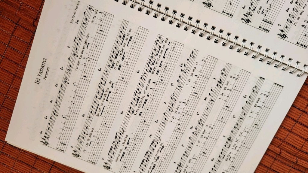 Gitar Kitapları ve Müzik Teorisi Kitabı - 4