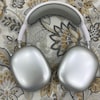 Piranha 2221 Kablosuz Bluetooth Kulaklık (Kutulu) - 5